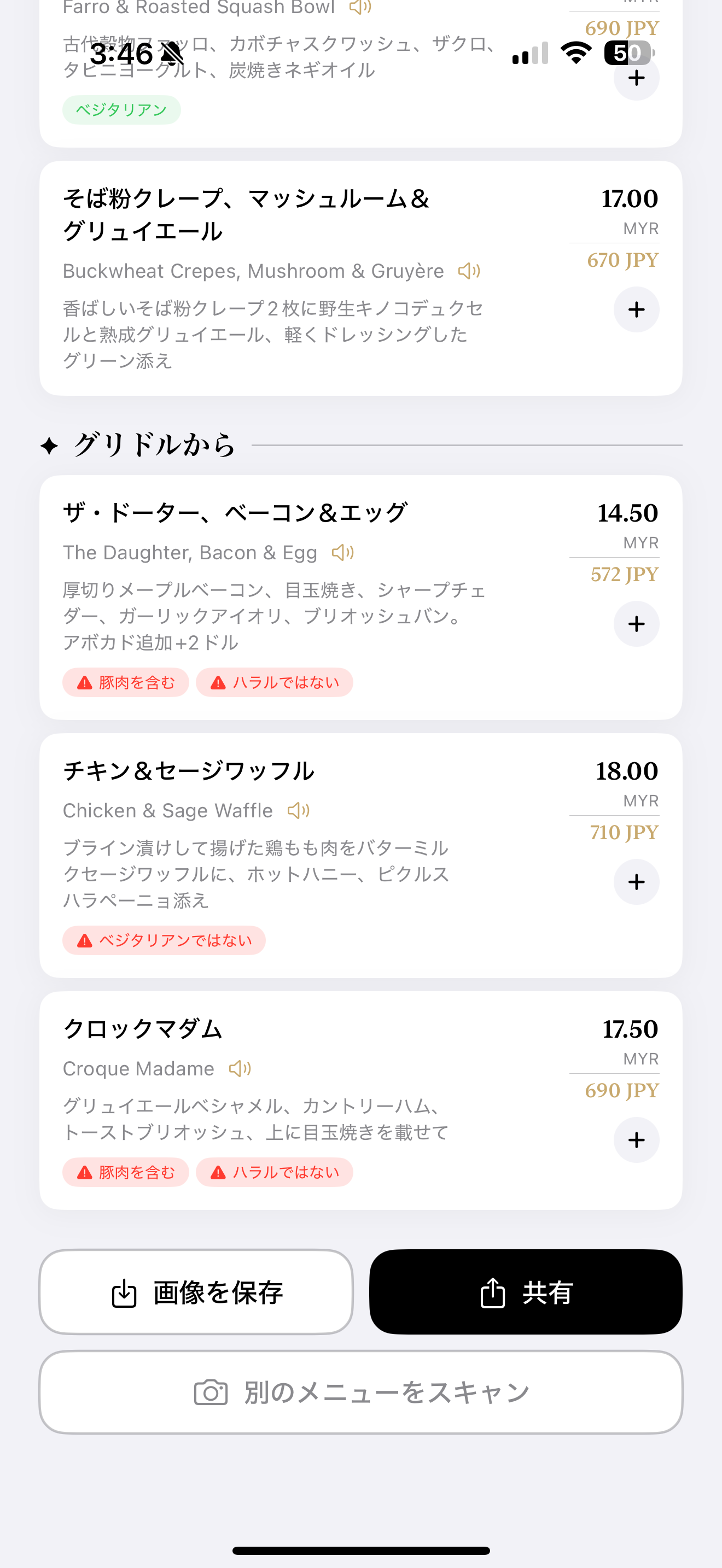 警告タグ付きの翻訳結果画面